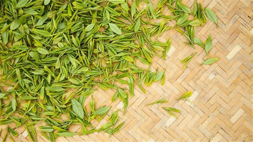 隔夜茶除了倒掉还有何妙用？实在没想到，用处还不少