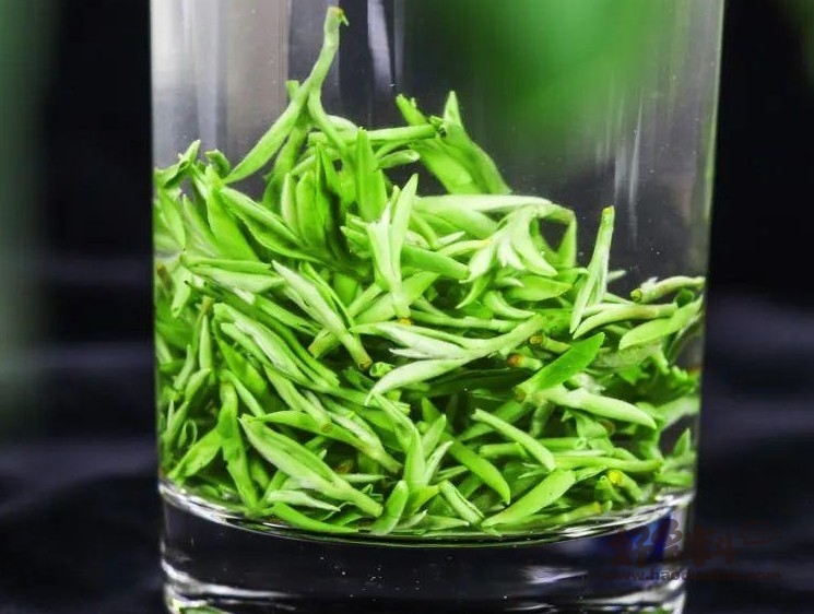 信阳毛尖取消更名国龙茅台 被质疑有蹭茅台热度嫌疑