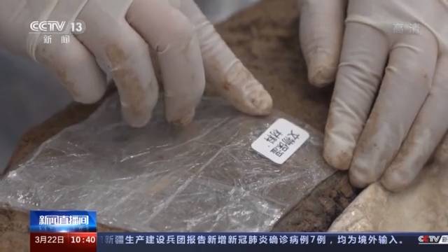 三星堆出土象牙，高分子材料为之“量体裁衣”