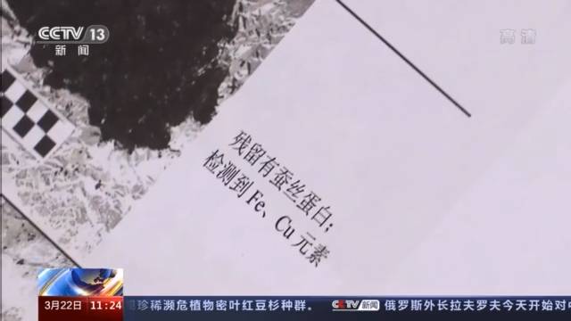三星堆继4号坑之后 3号坑也发现丝织物痕迹