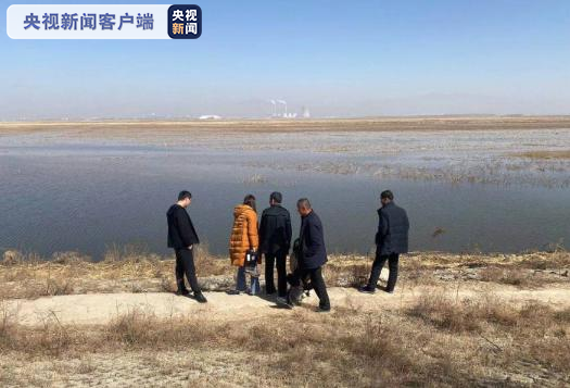 黄河大堤内丢弃死猪：已收集死猪48头 死羊17只 