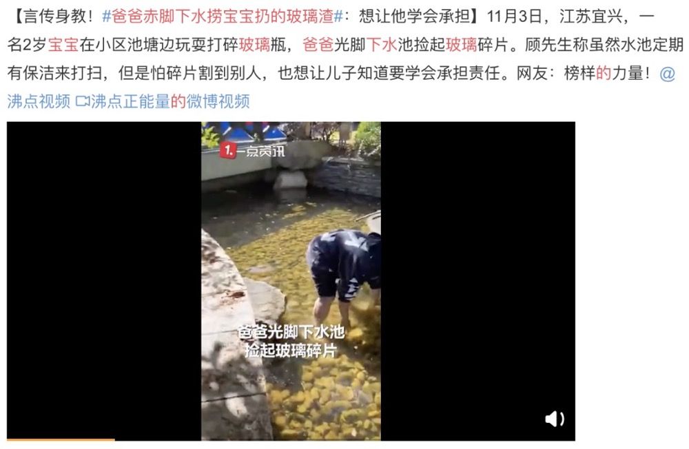 熊孩子到底是个什么物种