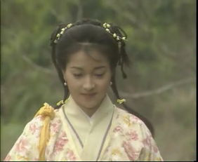 郭襄根本就不爱杨过！她骑着毛驴寻找的，其实是另一个人