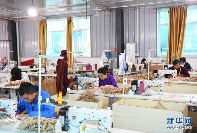 重庆奉节:产业助推乡村振