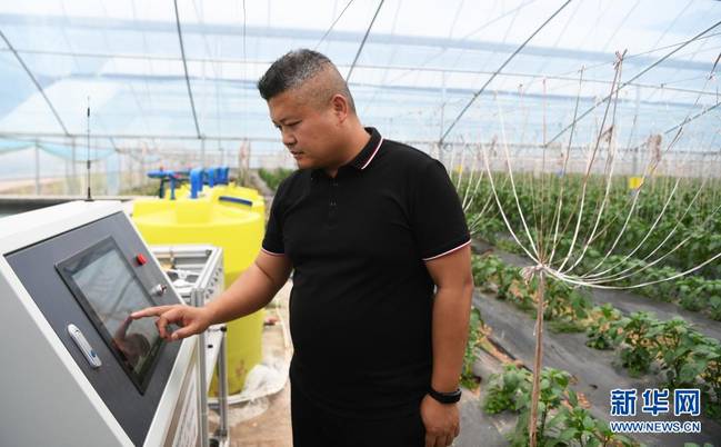 重庆奉节:产业助推乡村振