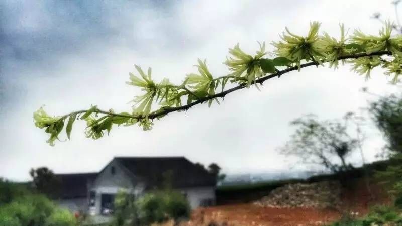 宁波十大休闲庄园出炉,你想睡哪一个?